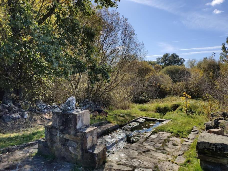 Casa Rural Tozolosolobos Otero de Bodas ภายนอก รูปภาพ