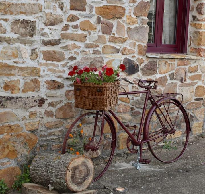 Casa Rural Tozolosolobos Otero de Bodas ภายนอก รูปภาพ